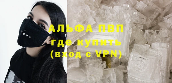 шишки Кукмор