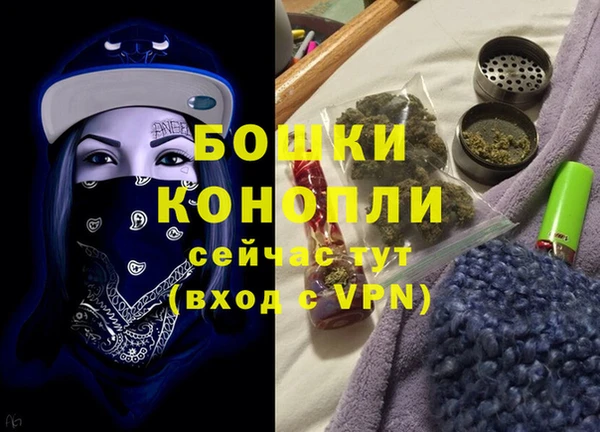 шишки Кукмор