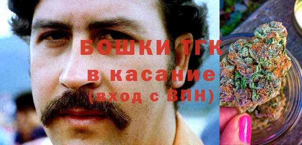 шишки Кукмор